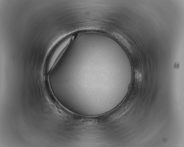 X0000097600676200803141917