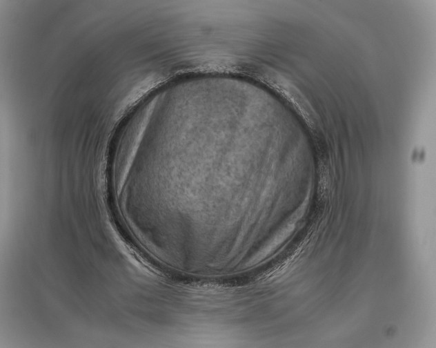 X0000097600677200803141917
