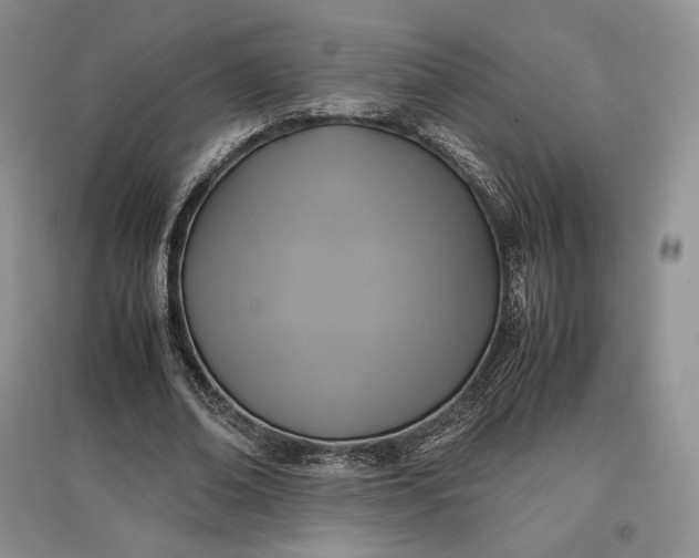 X0000097600678200803141917