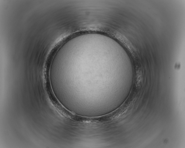 X0000097600680200803141917