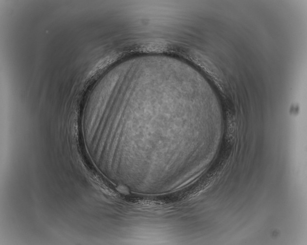 X0000097600681200803141917