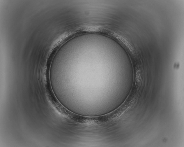 X0000097600682200803141917