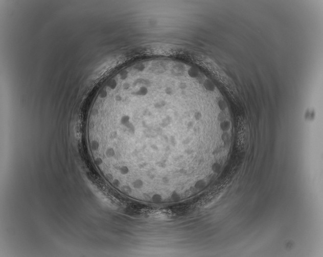 X0000097600683200803141917