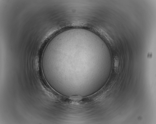 X0000097600684200803141917