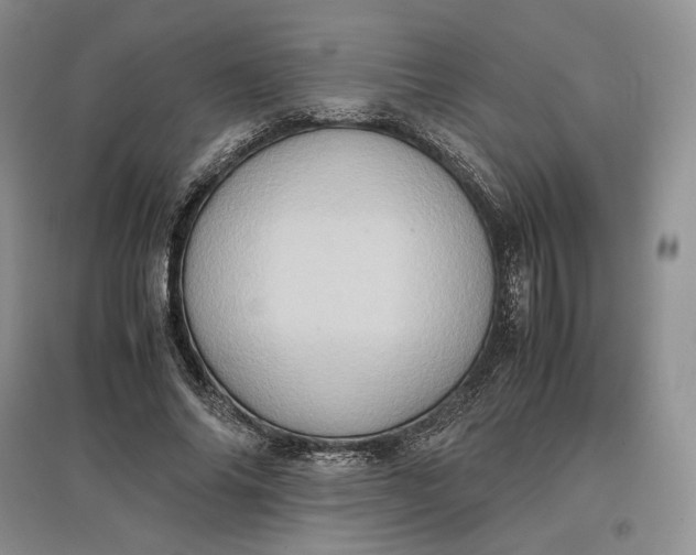 X0000097600686200803141917