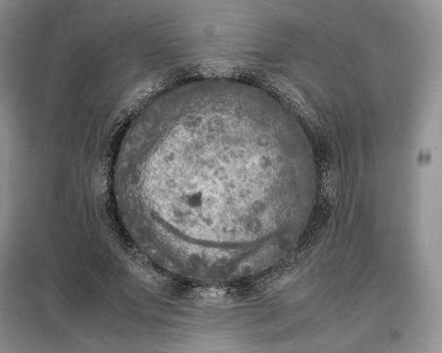 X0000097600687200803141917
