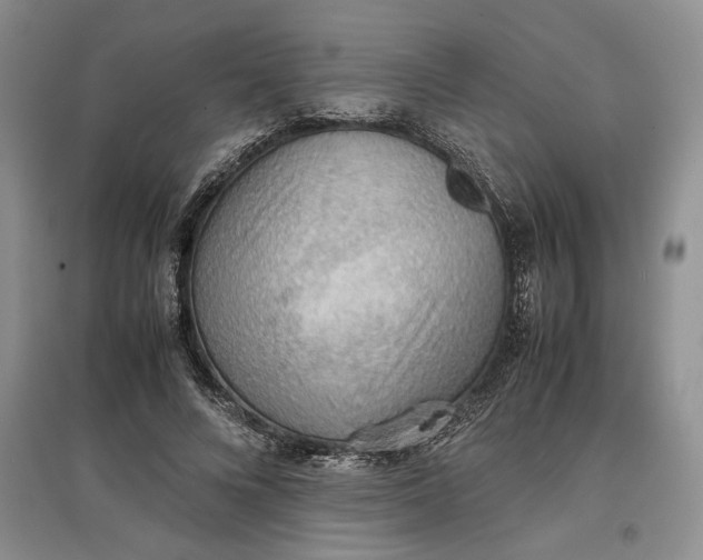 X0000097600688200803141917