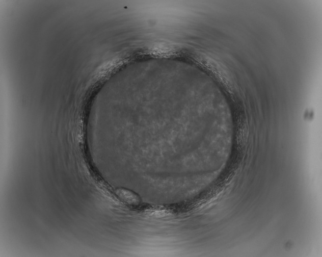 X0000097600689200803141917