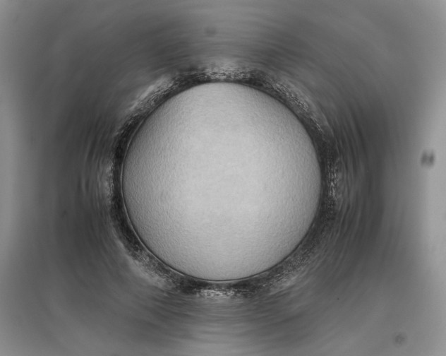 X0000097600690200803141917