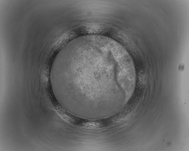 X0000097600691200803141917