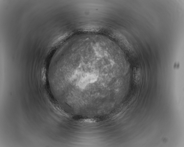 X0000097600692200803141917