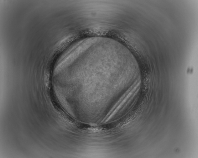X0000097600693200803141917