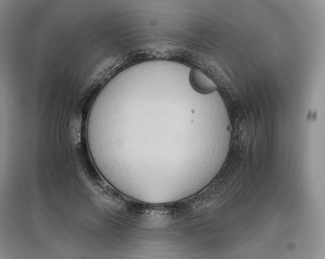X0000097600694200803141917