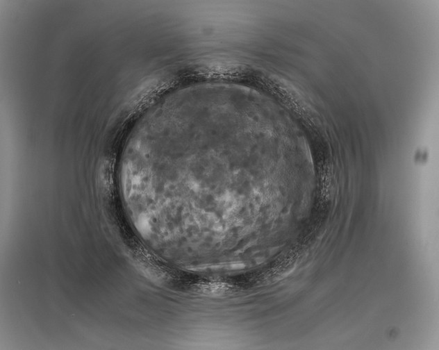 X0000097600695200803141917