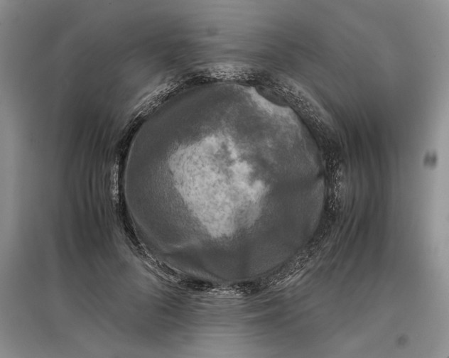 X0000097600696200803141917