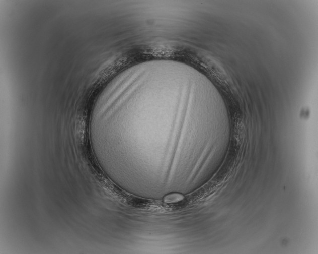 X0000097600697200803141917