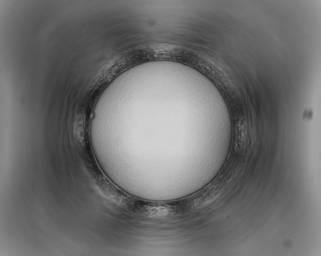 X0000097600698200803141917