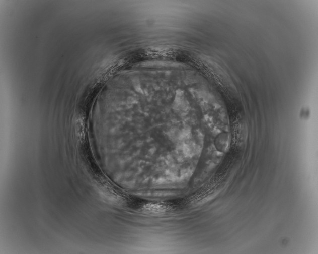 X0000097600699200803141917