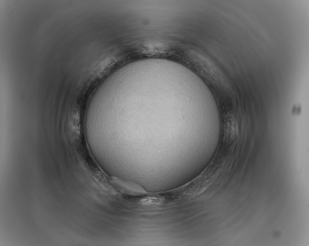 X0000097600700200803141917