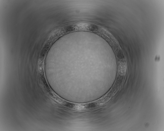 X0000097600701200803141917