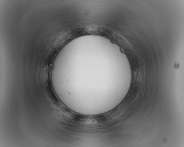 X0000097600702200803141917