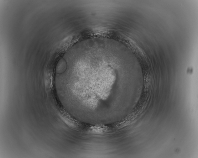 X0000097600703200803141917