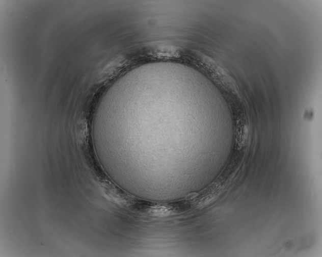 X0000097600704200803141917