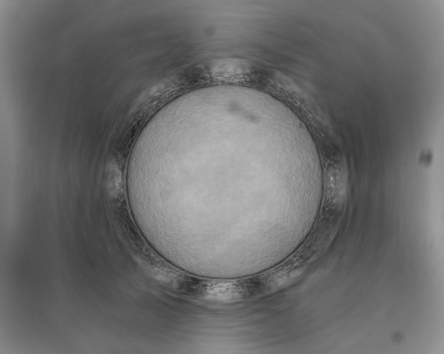 X0000097600705200803141917
