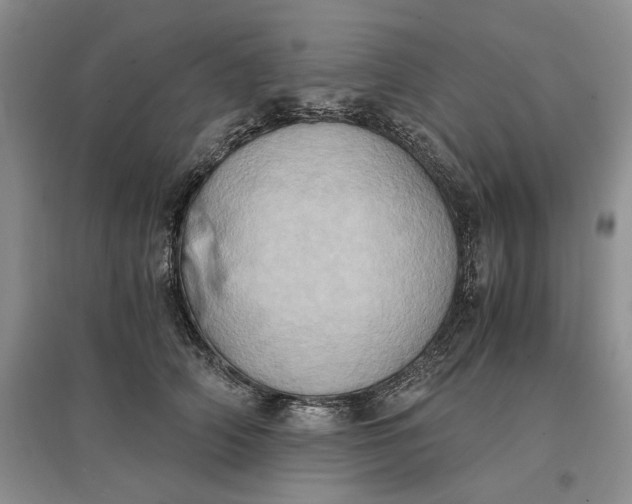 X0000097600706200803141917