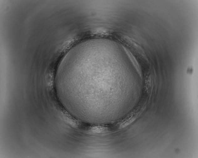 X0000097600708200803141917