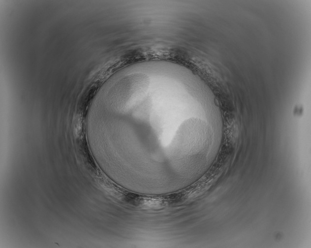 X0000097600709200803141917