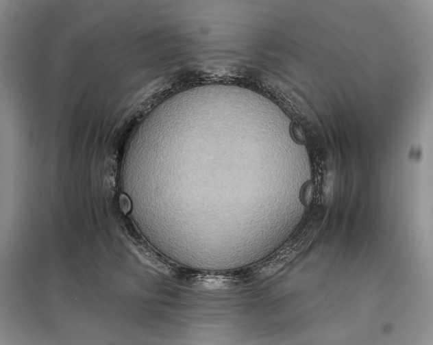 X0000097600710200803141917