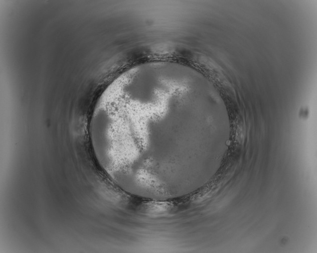 X0000097600711200803141917