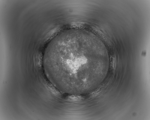 X0000097600712200803141917