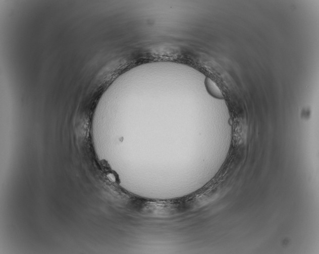 X0000097600713200803141917