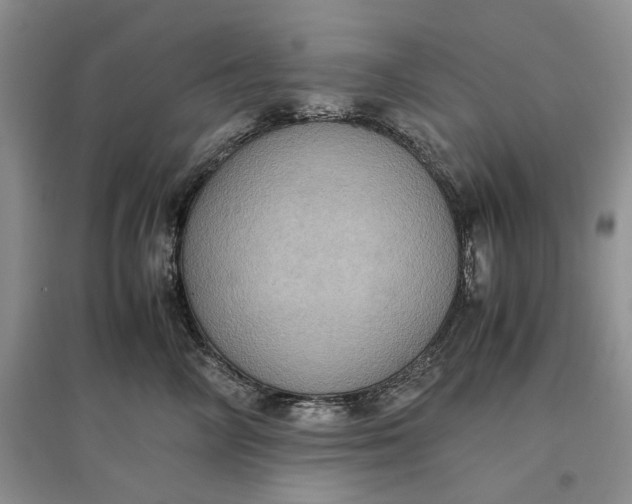 X0000097600714200803141917