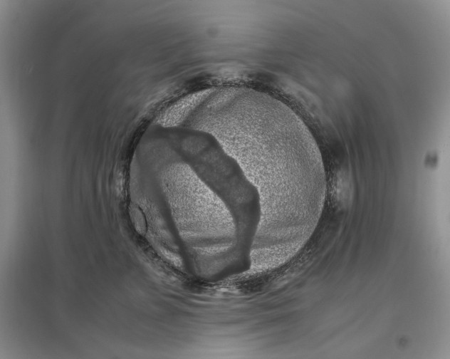 X0000097600715200803141917