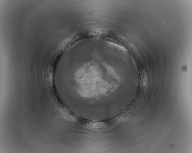 X0000097600716200803141917