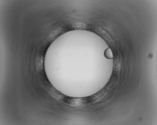 X0000097600717200803141916