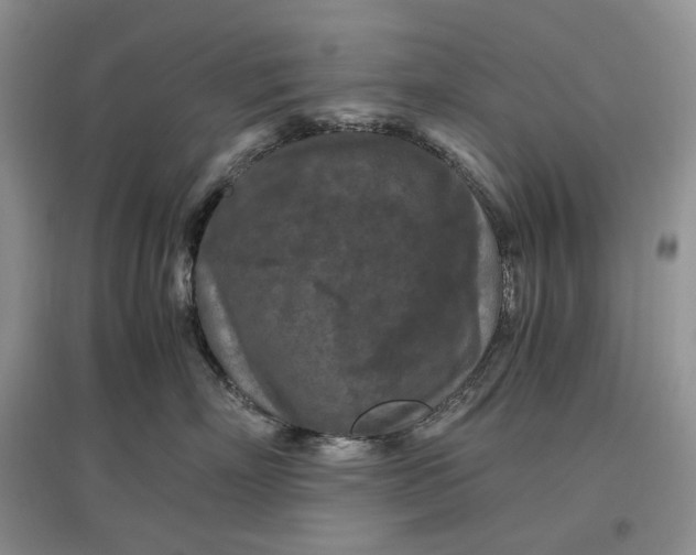 X0000097600718200803141916
