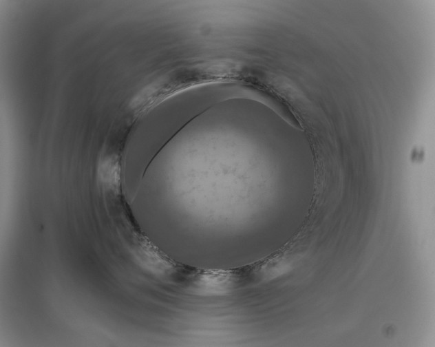 X0000097600720200803141916