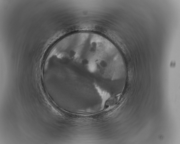 X0000097600721200803141916
