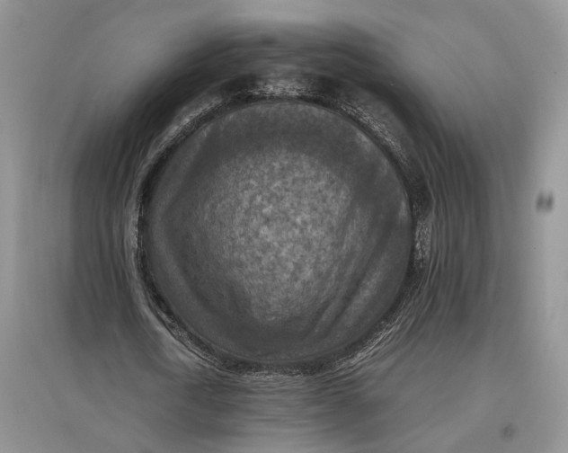 X0000097600722200803141916