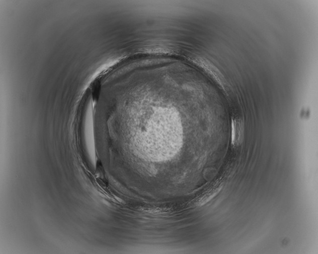 X0000097600723200803141916