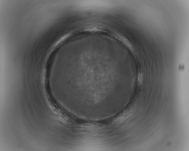 X0000097600724200803141916