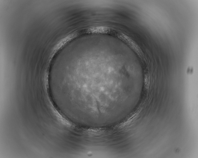 X0000097600725200803141916