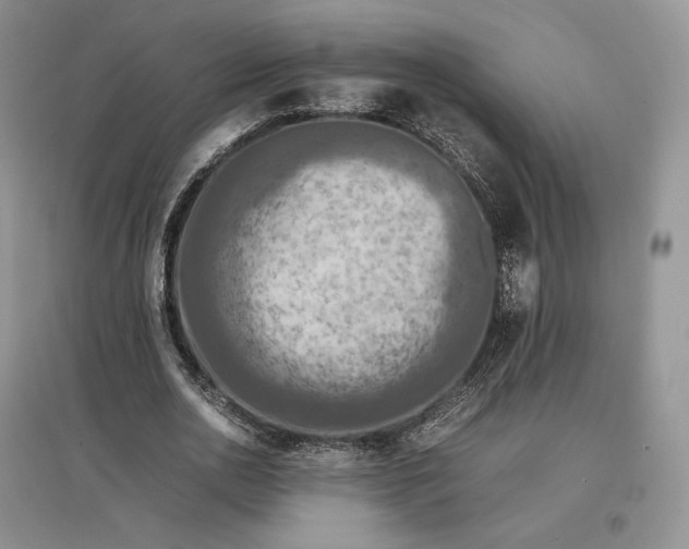 X0000097600726200803141916