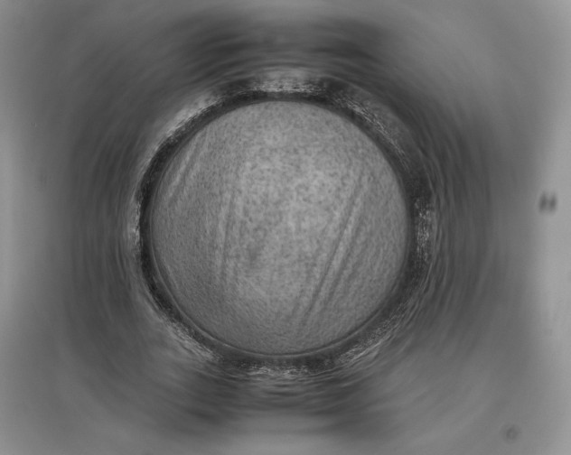 X0000097600727200803141916