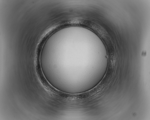 X0000097600728200803141916