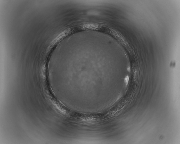 X0000097600729200803141916